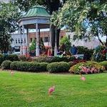 Marietta Square - Glover Park