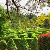VanDusen Botanical Garden