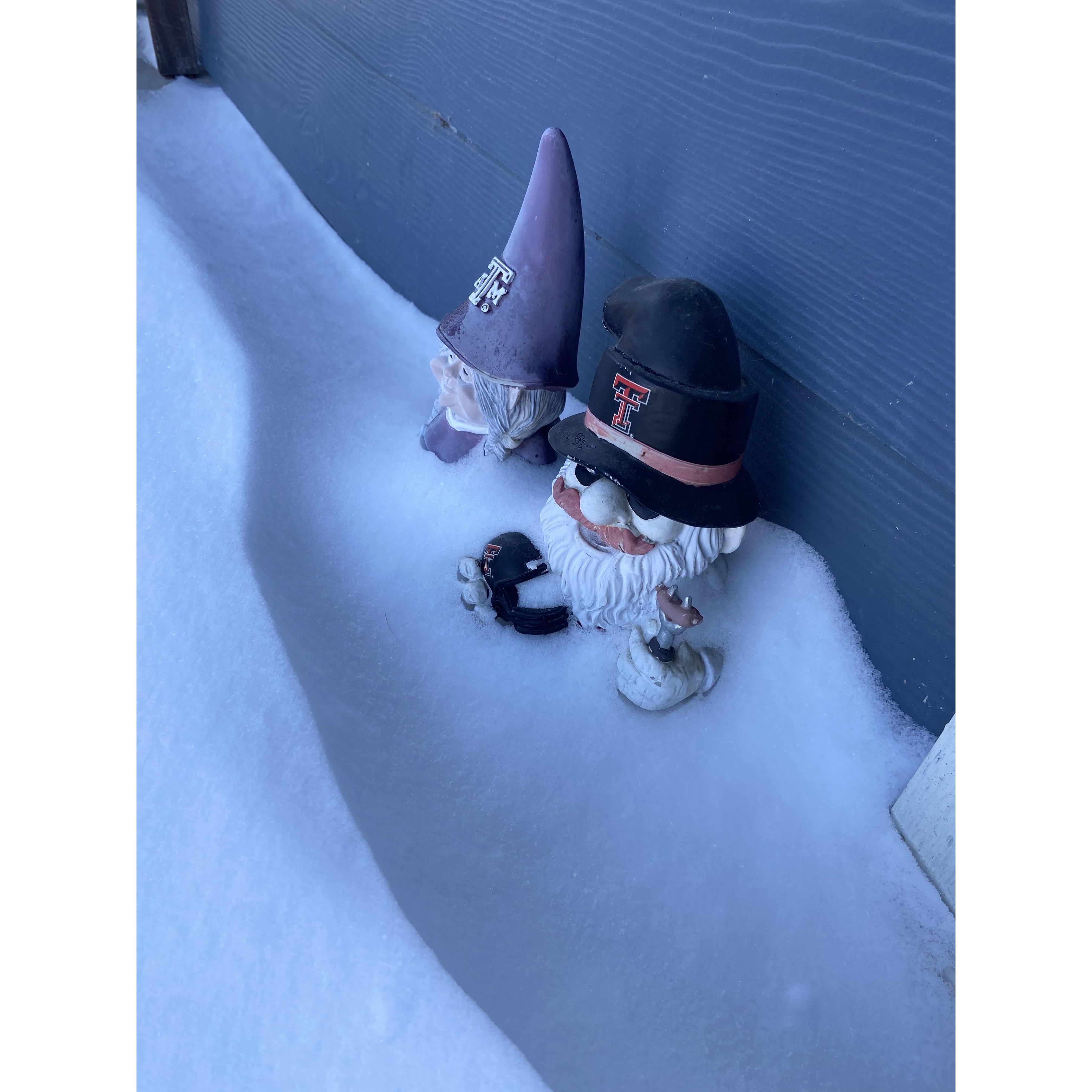 Snowpocalypse Feb 2021
