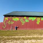 Rosedale Farms & Vineyards