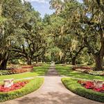 Brookgreen Gardens