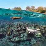 Best places for Snorkeling!