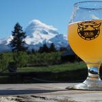 Solera Brewery