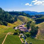 Pine Ridge Vineyards
