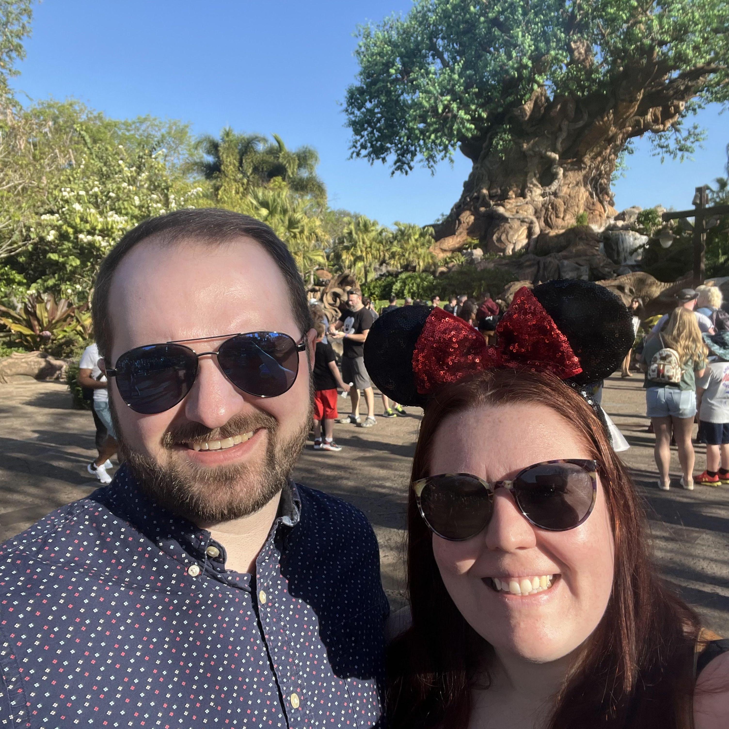 In Animal Kingdom at Disney.
