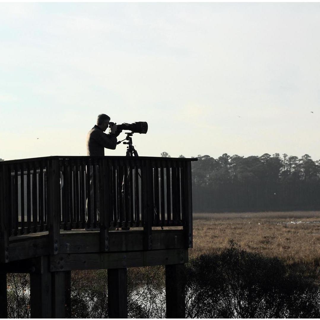 Bob shooting the wildfowl at Mattamuskeet  WMA