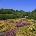 The North Carolina Arboretum