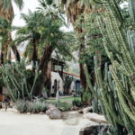 Visit The Moorten Botanical Garden