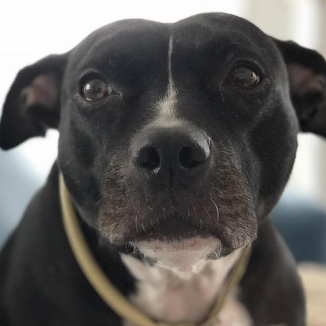 Ruby’s Honeymoon Toy Fund