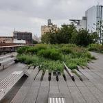 The High Line