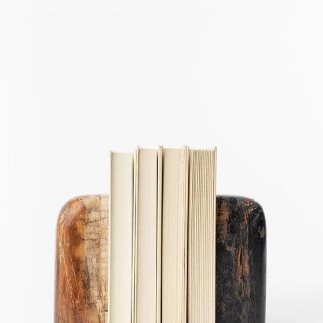 Petrified Wood Bookends (Set of 2)
