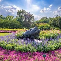 Dallas Aboretum family membership