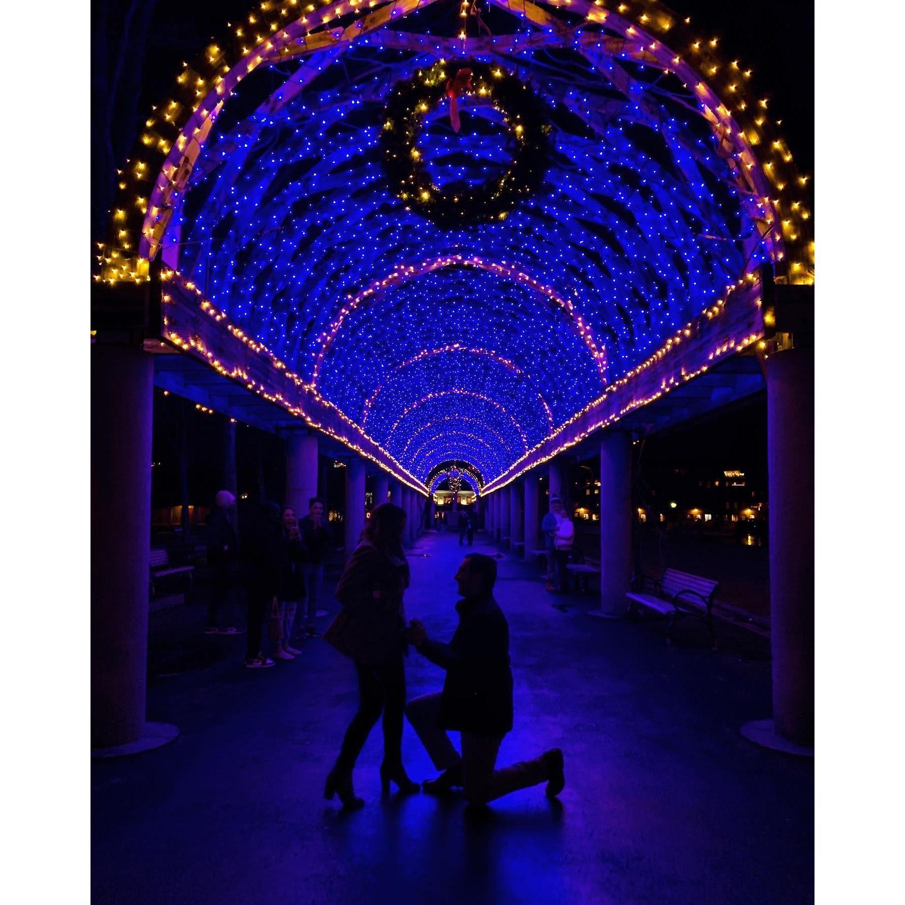 Our Engagement! December 23, 2019