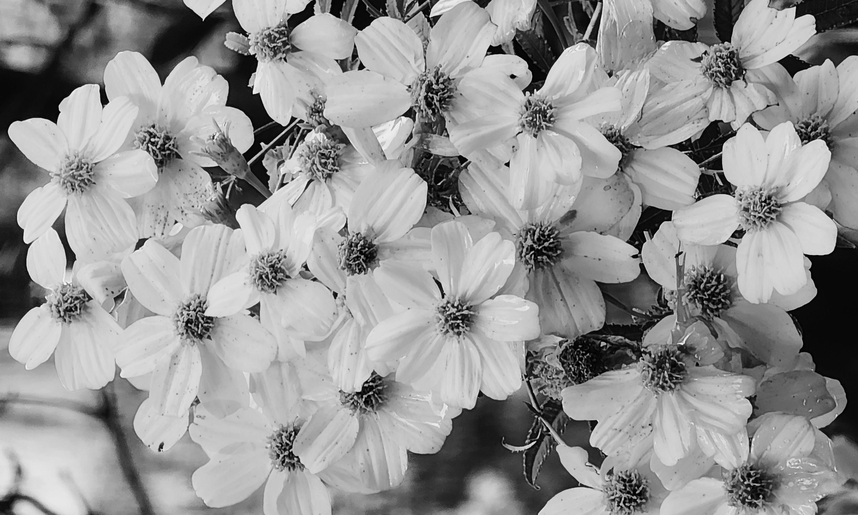 The Wedding Website of Robert Gralton and Emily Scammell