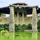 Japanese Tea Garden