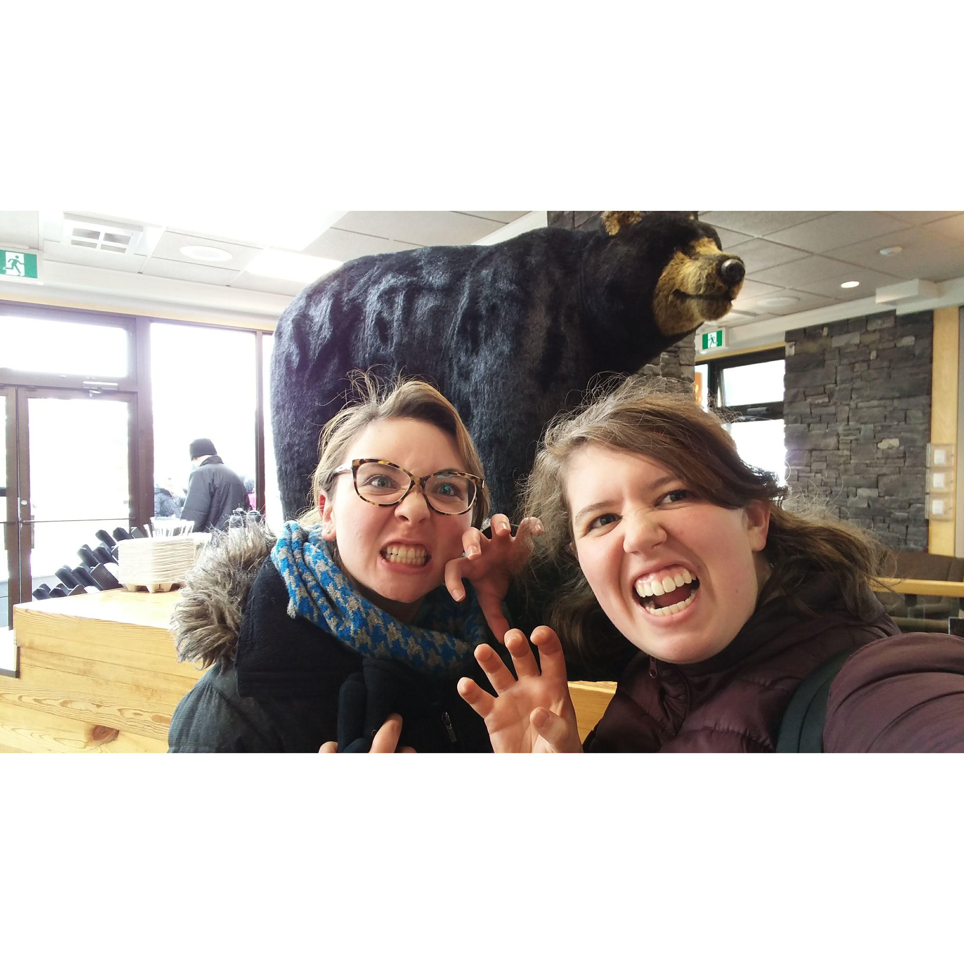 Bears in Banff! Visiting Julie during her year teaching in Calgary. (March 2018)