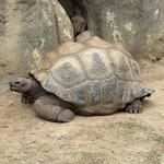 Greensboro Science Center