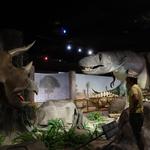 Las Vegas Natural History Museum