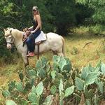 Horseback Riding Lessons