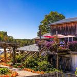 Pond Hill Farm - Winery, Brewery, Cafe, Market
