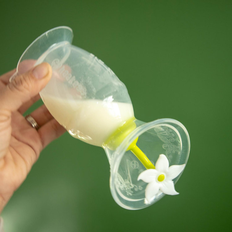Haakaa, New Mom 4-Piece Breast Feeding Starter Set | Zola Baby