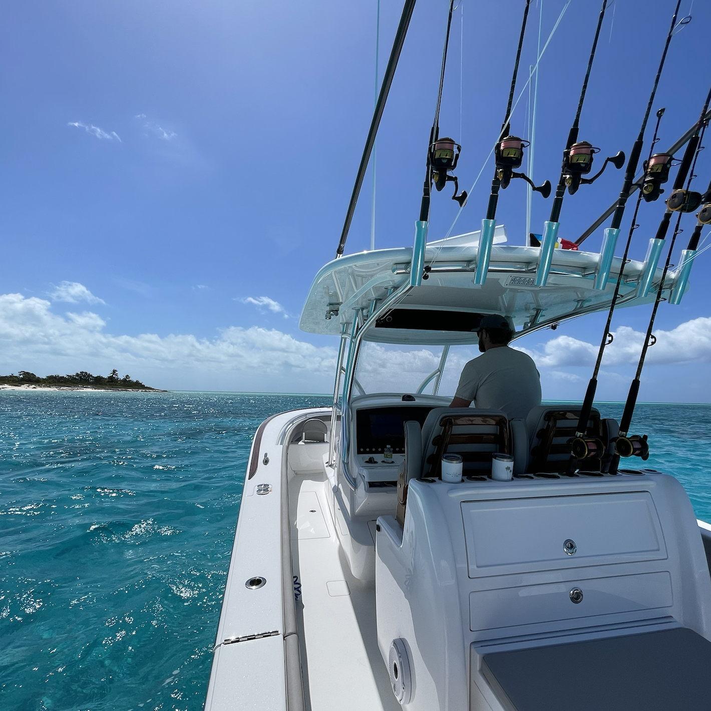 Buzzing around to find calm bays