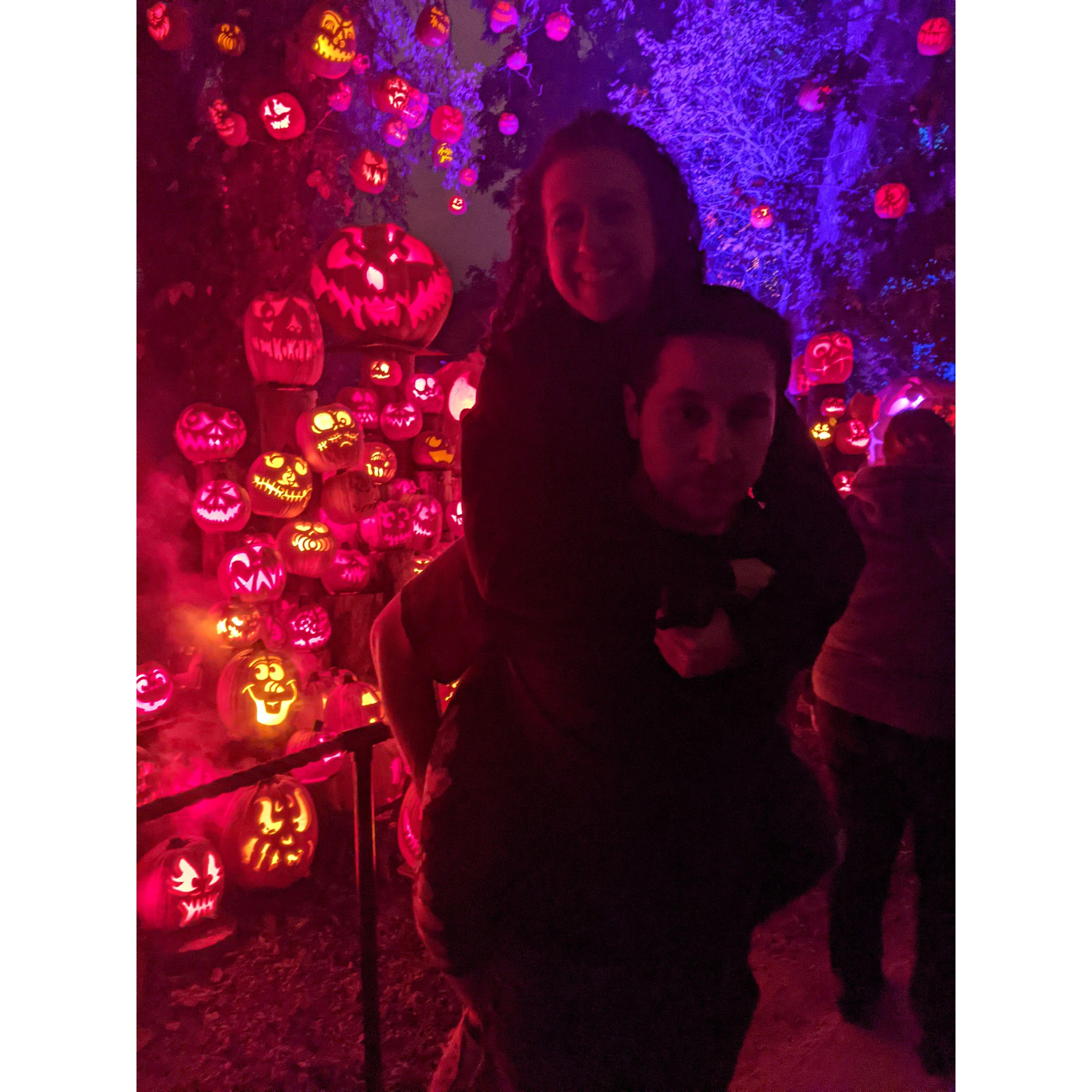 Jack-O-Lantern Spectacular 🎃 
October 2021