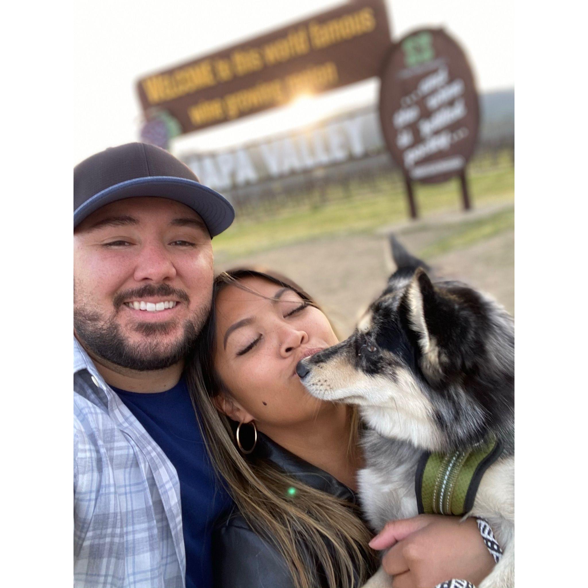 Wine Tasting in Napa