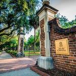 The Horseshoe