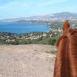 Horse riding with a sea view