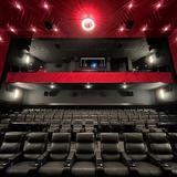 The Last Picture House