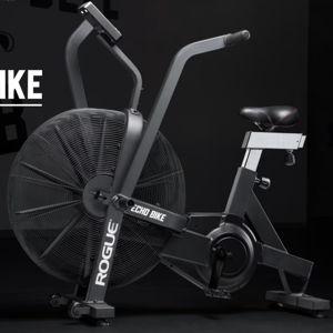 Rogue Echo Bike