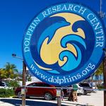Dolphin Research Center