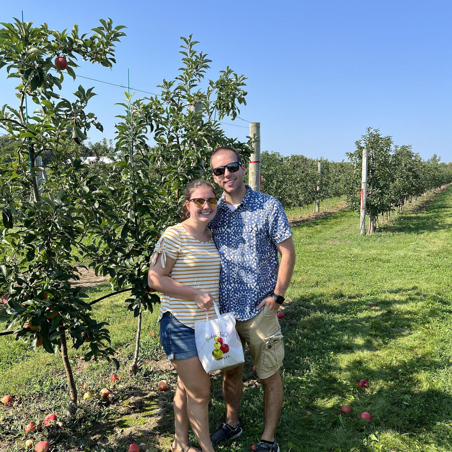 Apple Picking September 2024