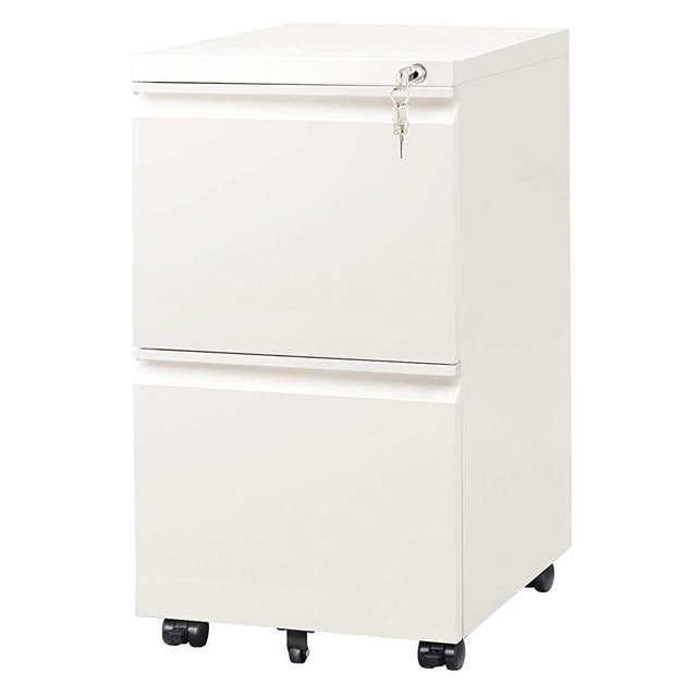 DEVAISE 2-Drawer Mobile File Cabinet with Lock, Commercial Vertical Cabinet, White