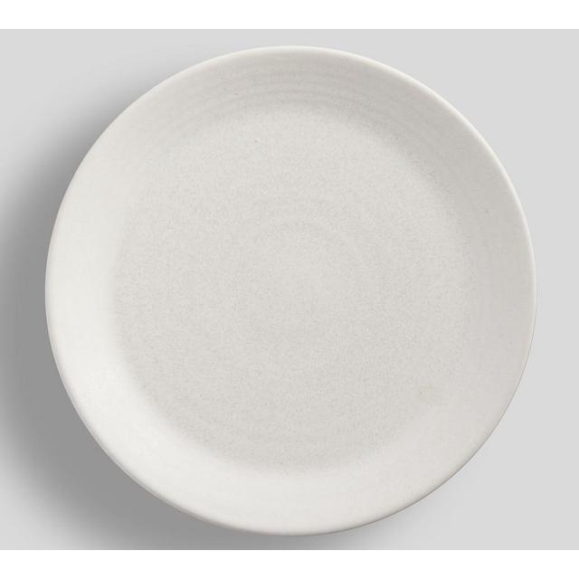 Larkin Reactive Glaze Stoneware Dinner Plates, Set of 4 - Shell White
