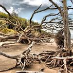 Big Talbot Island State Park
