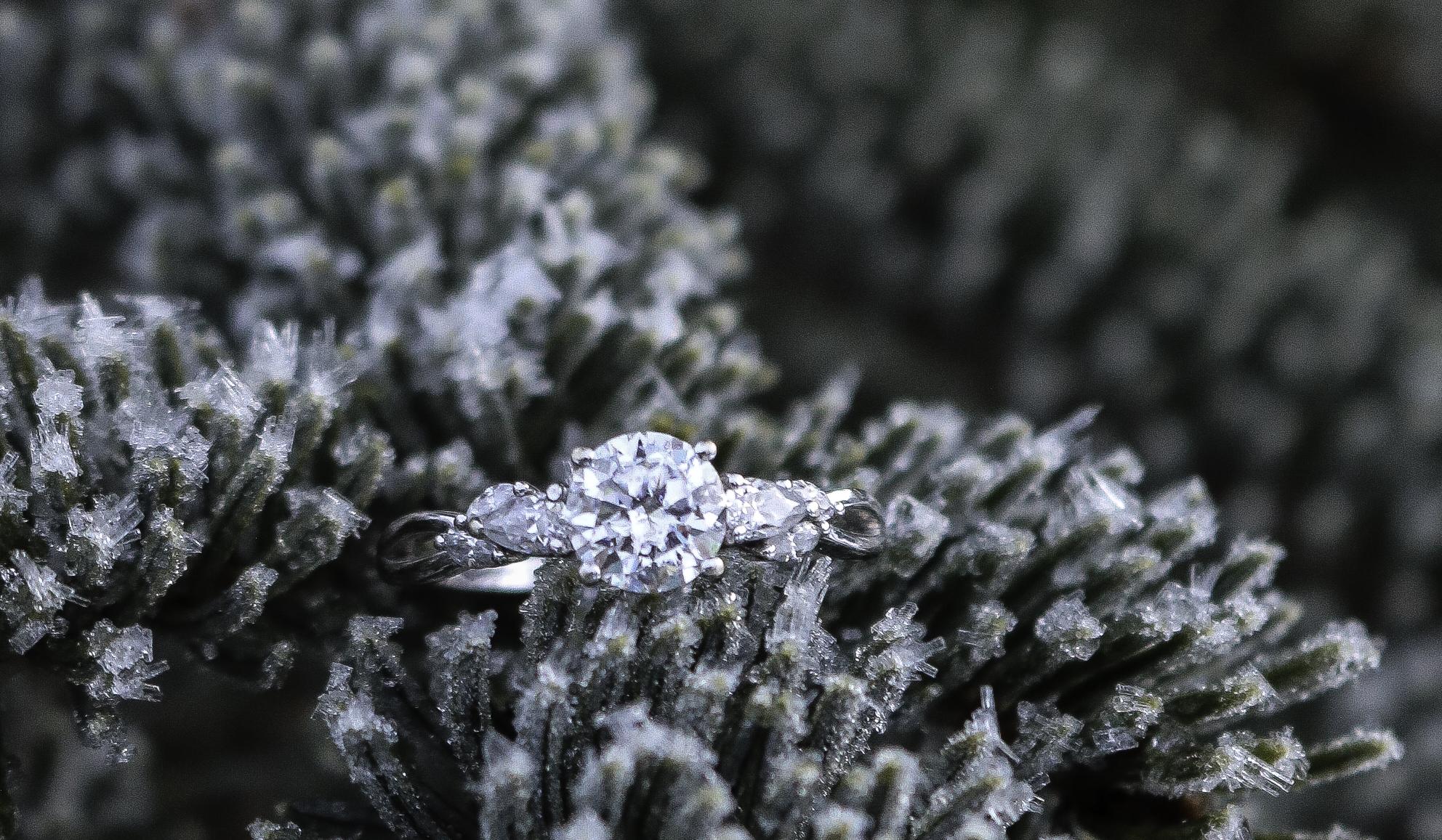 The Wedding Website of Emma Holmes and Dylan Jordan