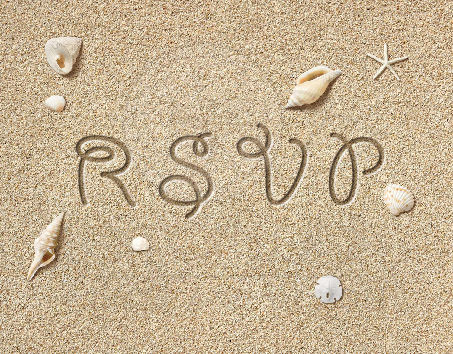 The Wedding Website of Susan Pippin and Scott Patino