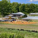 Pond Hill Farm