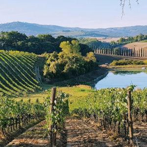 Honeymoon Wine Tour in Tuscany