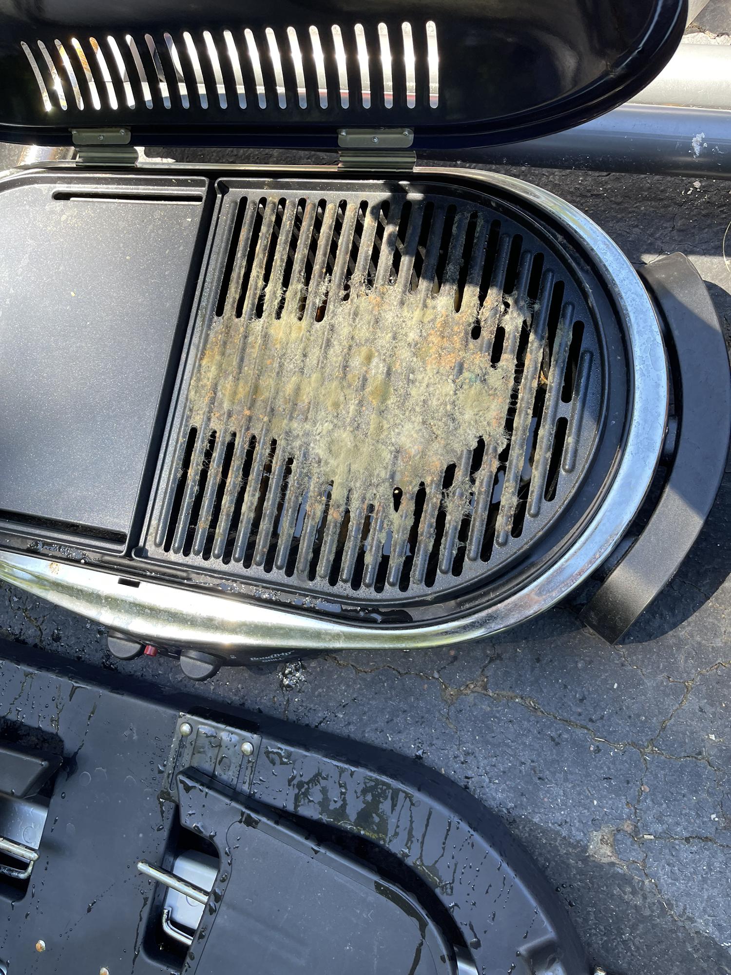Camping grill vs. hot house = mold city