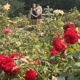 Rose Garden Children's Park