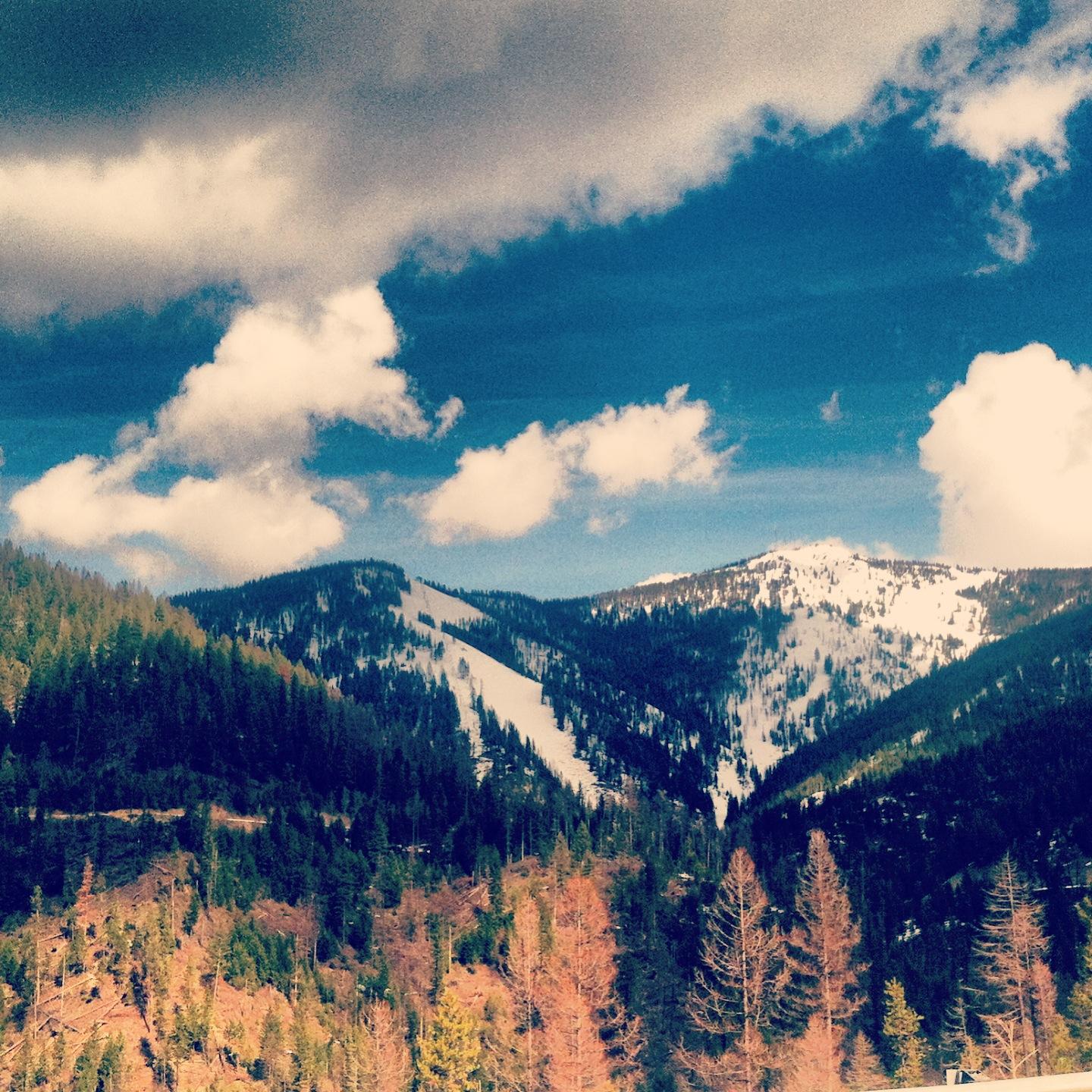 The Wedding Website of Vanessa Stewart and Alex Knox