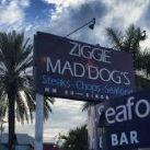 Ziggie & Mad Dog's