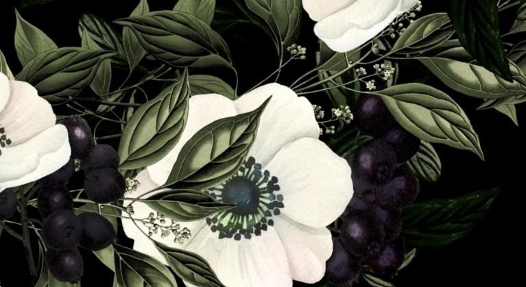 234a9551-fbef-40b3-9284-7c4a8e919ba4