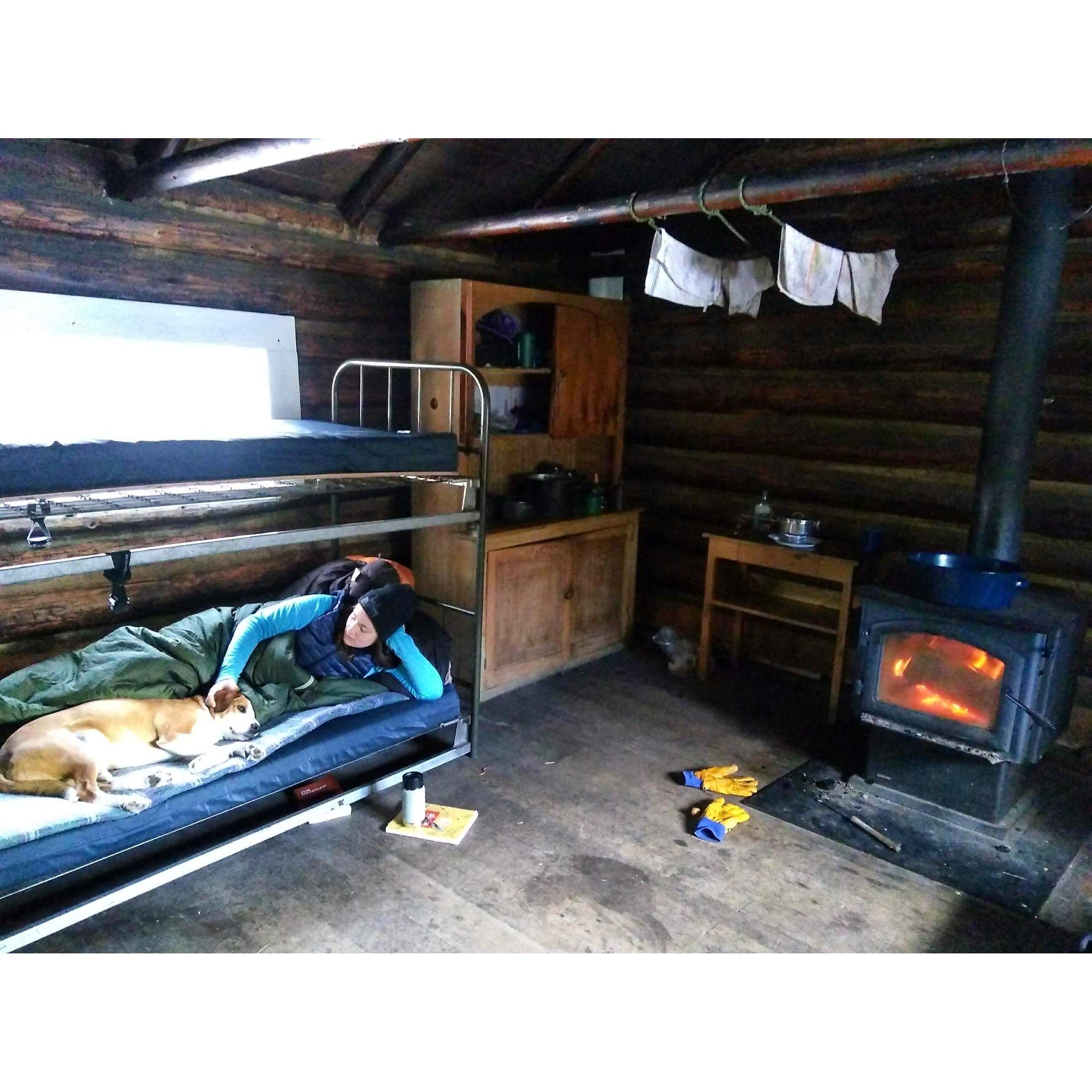 Cabin in the woods 2019