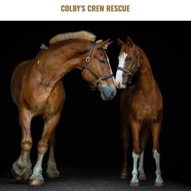 Colby’s Crew Rescue