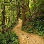 Hiking