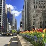 The Magnificent Mile